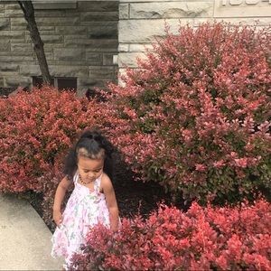 Meet your Posher, Sherwin